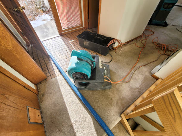Best Flood restoration services  in Silver Grove, KY