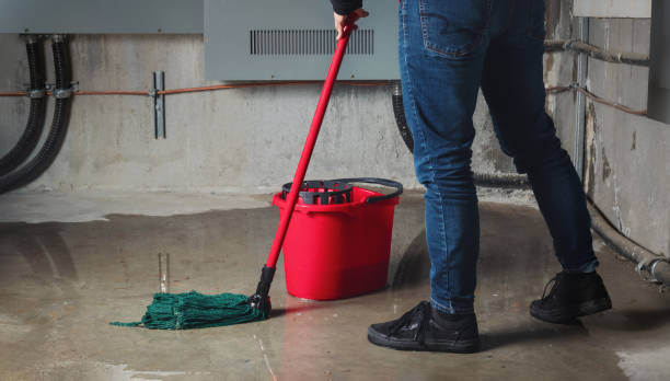 Best Water damage restoration process  in Silver Grove, KY